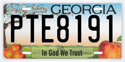 GA license plate PTE8191