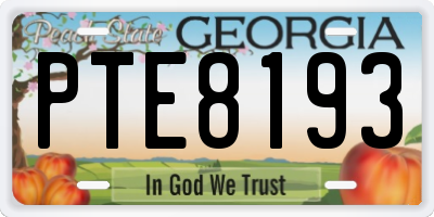 GA license plate PTE8193