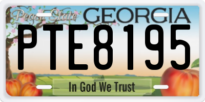 GA license plate PTE8195