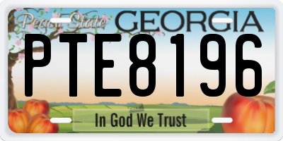GA license plate PTE8196