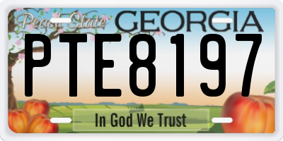 GA license plate PTE8197
