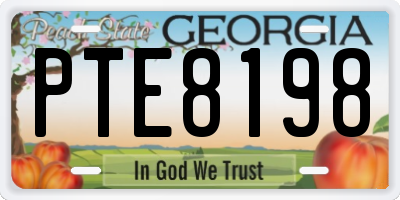 GA license plate PTE8198
