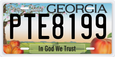 GA license plate PTE8199