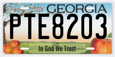 GA license plate PTE8203