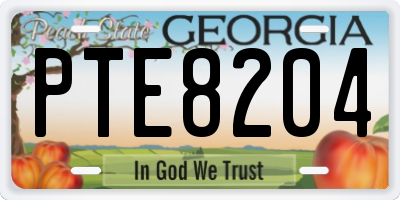 GA license plate PTE8204