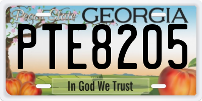 GA license plate PTE8205