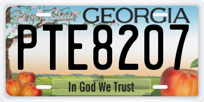 GA license plate PTE8207
