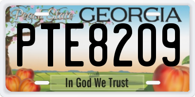 GA license plate PTE8209