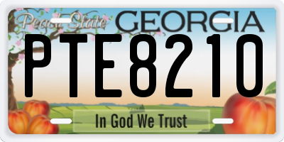 GA license plate PTE8210