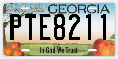 GA license plate PTE8211