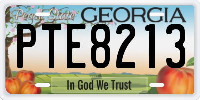 GA license plate PTE8213