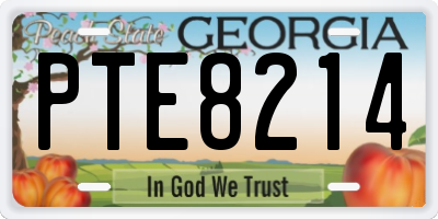 GA license plate PTE8214