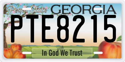 GA license plate PTE8215
