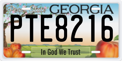 GA license plate PTE8216