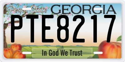 GA license plate PTE8217