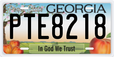 GA license plate PTE8218