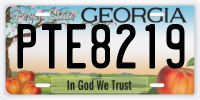 GA license plate PTE8219