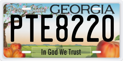 GA license plate PTE8220