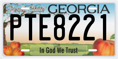 GA license plate PTE8221