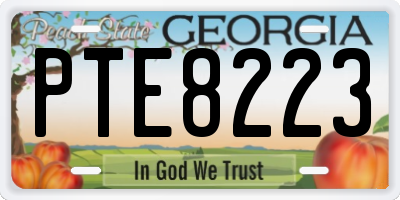 GA license plate PTE8223