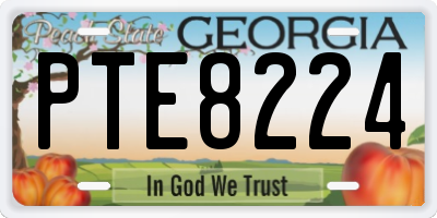 GA license plate PTE8224