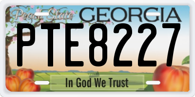 GA license plate PTE8227