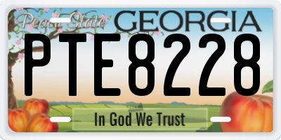 GA license plate PTE8228