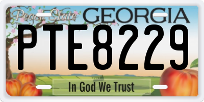 GA license plate PTE8229