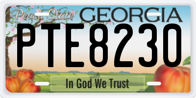 GA license plate PTE8230