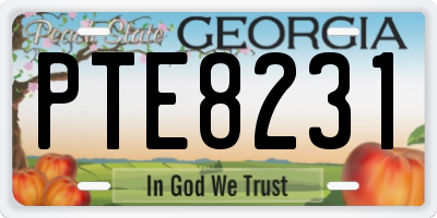 GA license plate PTE8231