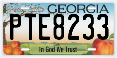 GA license plate PTE8233