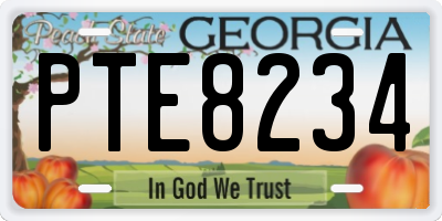 GA license plate PTE8234