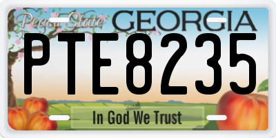 GA license plate PTE8235