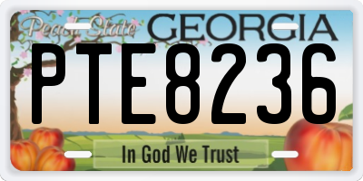 GA license plate PTE8236