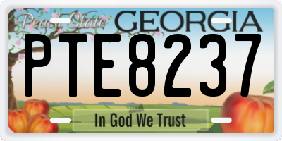 GA license plate PTE8237