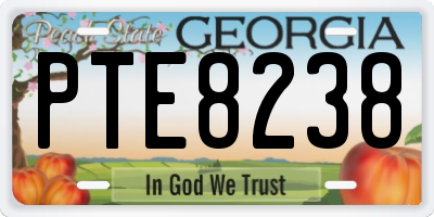 GA license plate PTE8238