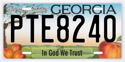 GA license plate PTE8240