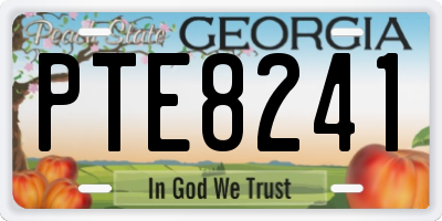 GA license plate PTE8241