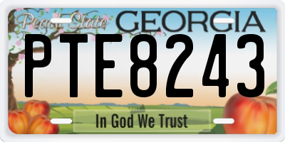GA license plate PTE8243
