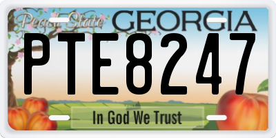GA license plate PTE8247