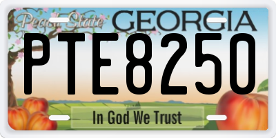 GA license plate PTE8250