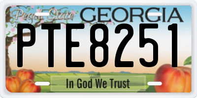 GA license plate PTE8251