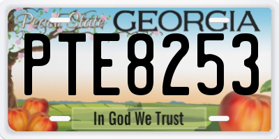 GA license plate PTE8253