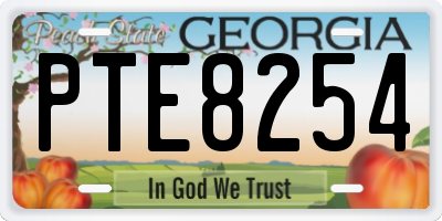 GA license plate PTE8254
