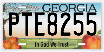 GA license plate PTE8255