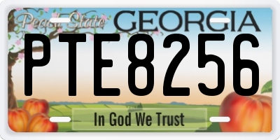GA license plate PTE8256