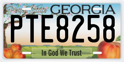 GA license plate PTE8258