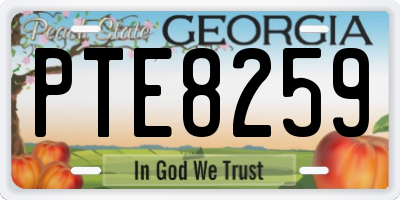 GA license plate PTE8259