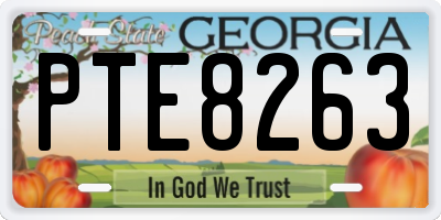GA license plate PTE8263