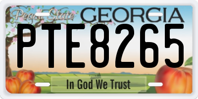 GA license plate PTE8265